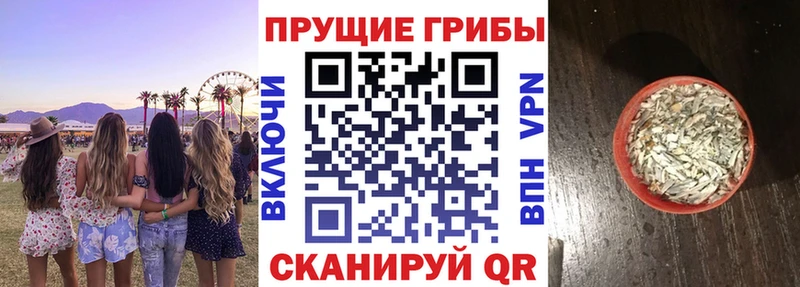 Купить  Покачи  Псилоцибиновые грибы Psilocybine cubensis 